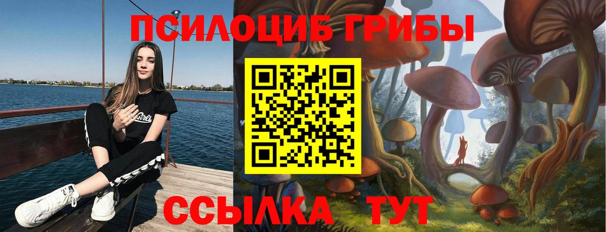 Пугачёв  Псилоцибиновые грибы Magic Shrooms  Вход с VPN 